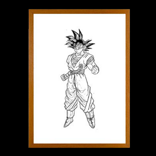 Gokus Transformations